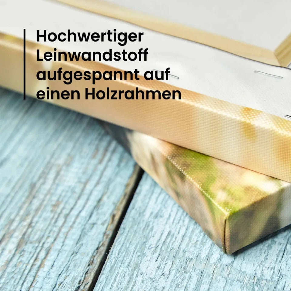 DE2 - Hochwertiger Leinwandstoff